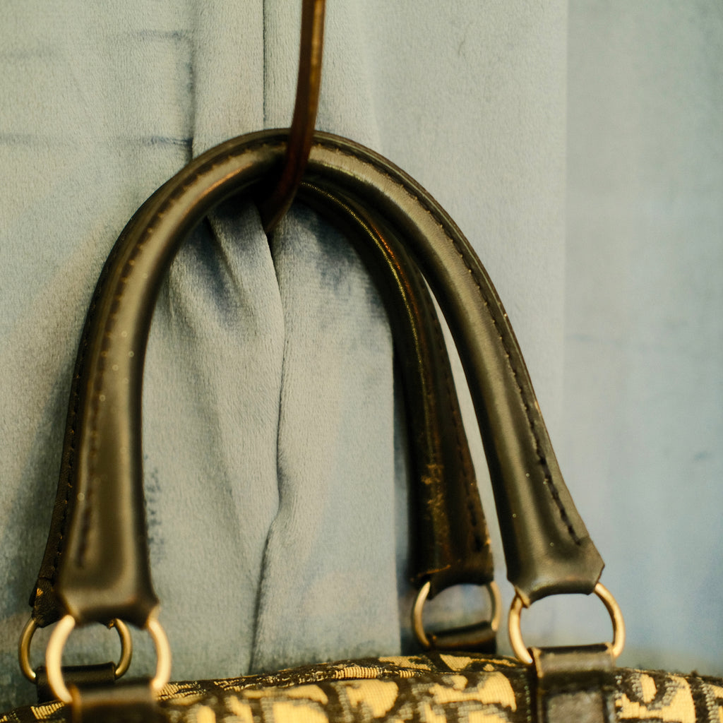 Dior Trotter Boston Canvas Bag