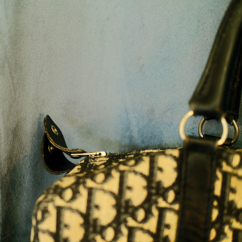 Dior Trotter Boston Canvas Bag