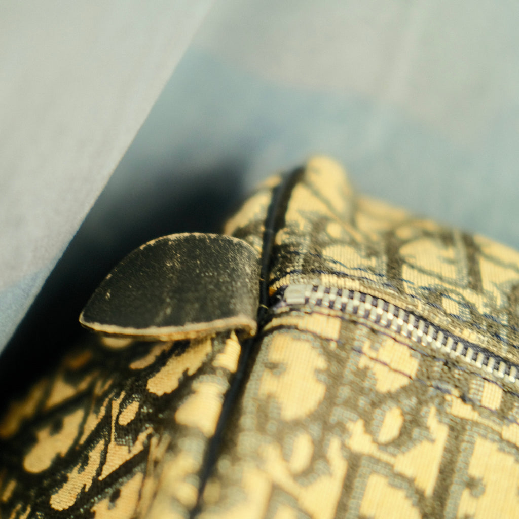 Dior Trotter Boston Canvas Bag