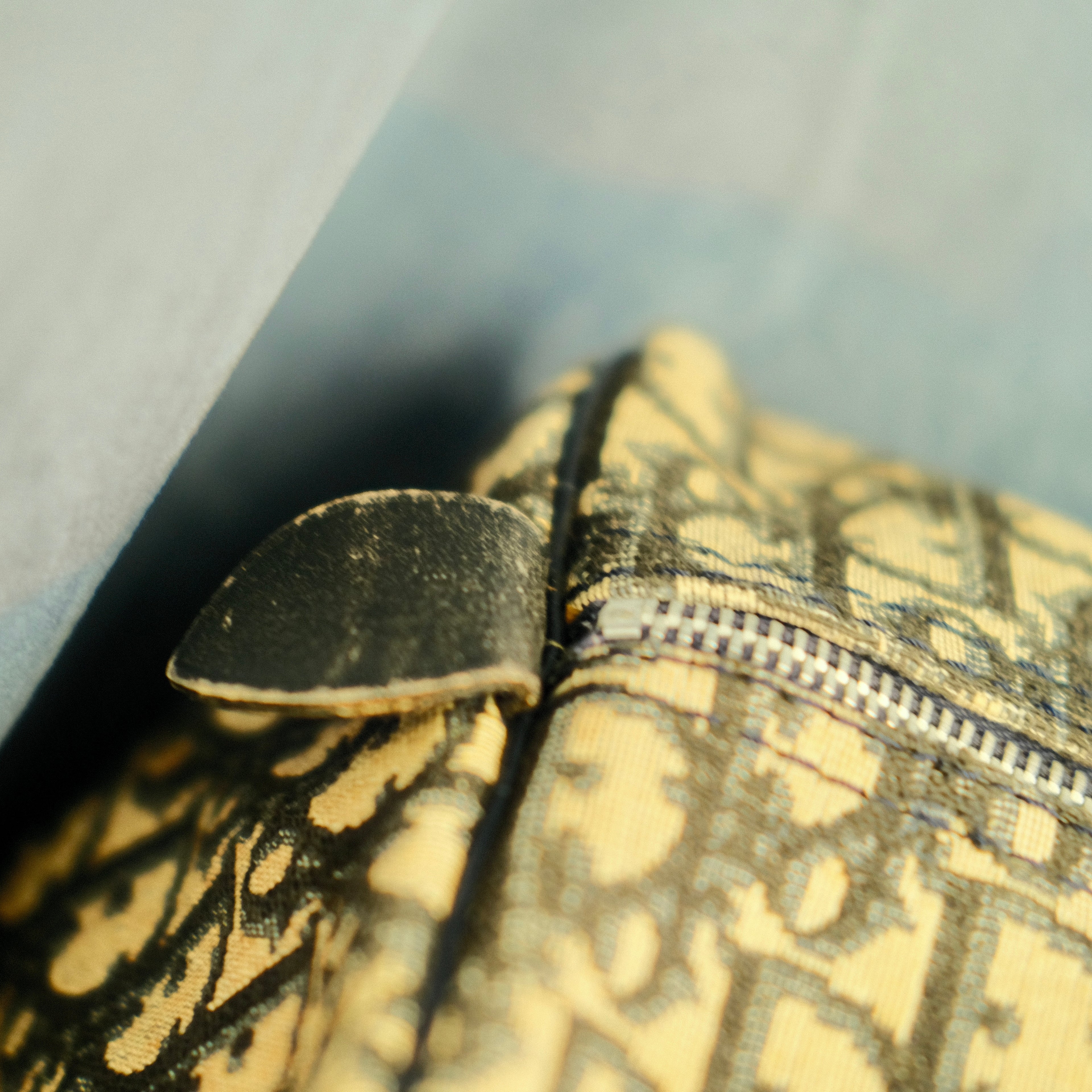 Dior Trotter Boston Canvas Bag